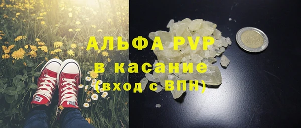 прущий лед Ладушкин