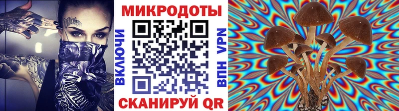 Галлюциногенные грибы мухоморы  Купить  Кимры 